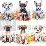 WILDFLOWER PUPPIES BUNDLE/DRIVE