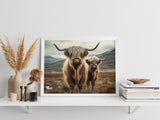 HIGHLAND COW