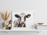 WHITE BACKGROUND COW