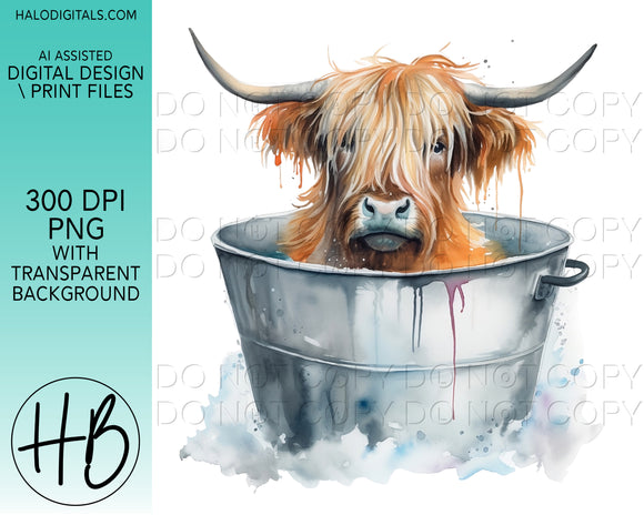 HIGHLAND COW IN WASHTUB #1