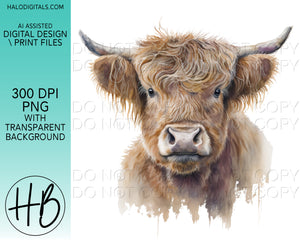 HIGHLAND COW